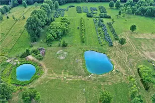 3609 State Route 225, Diamond, OH 44412 - Photo 18