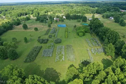 3609 State Route 225, Diamond, OH 44412 - Photo 22