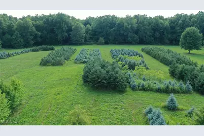 3609 State Route 225, Diamond, OH 44412 - Photo 20