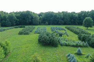 3609 State Route 225, Diamond, OH 44412 - Photo 20