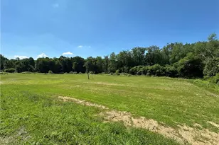 1278 State Route 43, Richmond, OH 43944 - Photo 1