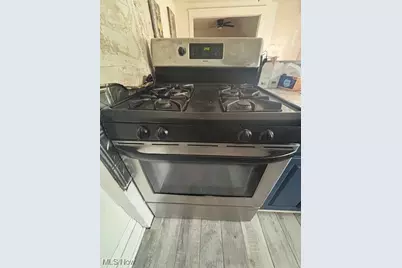 805 Rudyard Road, Loveland, OH 44110 - Photo 10