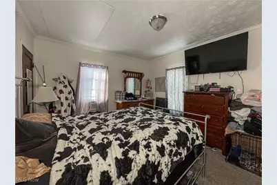 166 S Schenley Avenue, Youngstown, OH 44509 - Photo 8