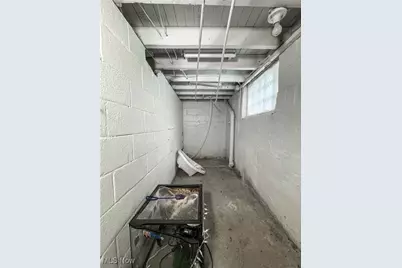 166 S Schenley Avenue, Youngstown, OH 44509 - Photo 12