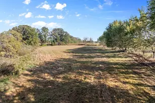 5913 Stuckey Rd, Creston, OH 44217 - Photo 8