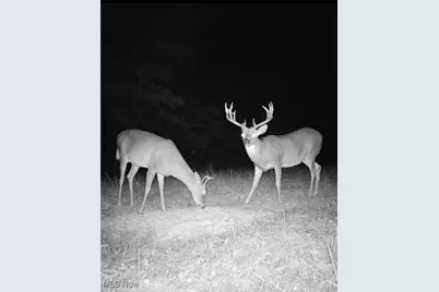 360 Glass Road, Malta, OH 43758 - Photo 24