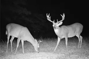 360 Glass Rd, Malta, OH 43758 - Photo 24