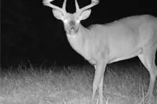 360 Glass Rd, Malta, OH 43758 - Photo 26