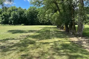 4259 State Route 598, Plymouth, OH 44865 - Photo 4