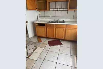 737 E 165th Street, Loveland, OH 44110 - Photo 6