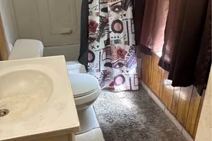 737 E 165th St, Loveland, OH 44110 - Photo 4