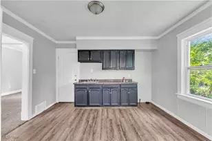 14106 Sylvia Ave, Loveland, OH 44110 - Photo 6