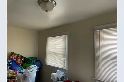 13414 Kelso Avenue, Loveland, OH 44110 - Photo 14