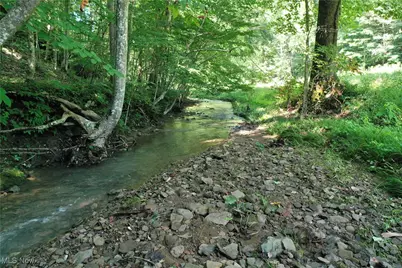 0002 Big Root Road, Big Bend, WV 26136 - Photo 10