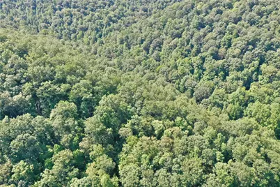 0002 Big Root Road, Big Bend, WV 26136 - Photo 2