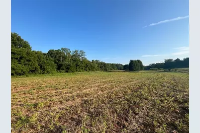 10170 N Morrison Road, Dresden, OH 43821 - Photo 6