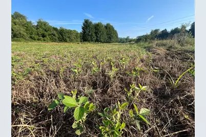 10170 N Morrison Road, Dresden, OH 43821 - Photo 22