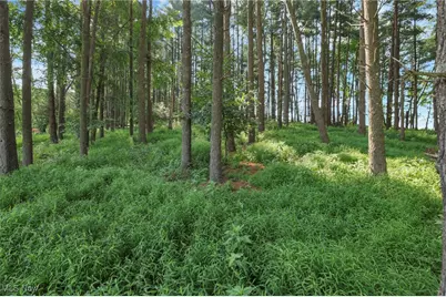 10170 N Morrison Road, Dresden, OH 43821 - Photo 40