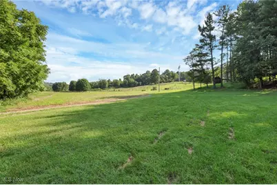 10170 N Morrison Road, Dresden, OH 43821 - Photo 38