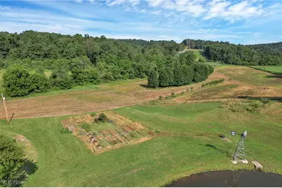 10170 N Morrison Road, Dresden, OH 43821 - Photo 42