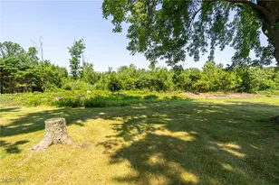 43304 Dellefield Rd, Elyria, OH 44035 - Photo 44