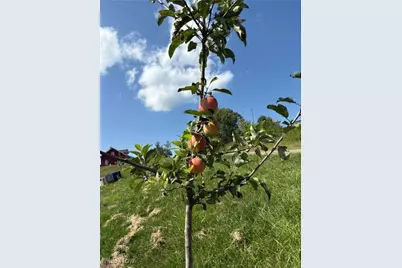 52021 Spencer Road, Cumberland, OH 43732 - Photo 26