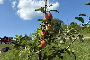 52021 Spencer Rd, Cumberland, OH 43732 - Photo 26