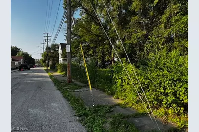 2700 Barber Avenue, Loveland, OH 44113 - Photo 1