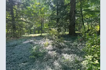 10504 Mulberry Road, Chardon, OH 44024 - Photo 10