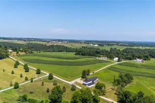 73881 Colerain Mt Pleasant Rd, Dillonvale, OH 43912 - Photo 44