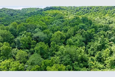 10200 N River Road, Dresden, OH 43821 - Photo 26