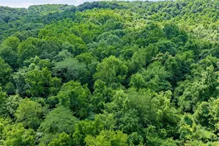 10200 N River Rd, Dresden, OH 43821 - Photo 26