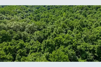 10200 N River Road, Dresden, OH 43821 - Photo 28