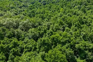 10200 N River Rd, Dresden, OH 43821 - Photo 28