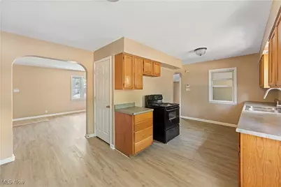 1255 Dover Avenue, Akron, OH 44320 - Photo 12