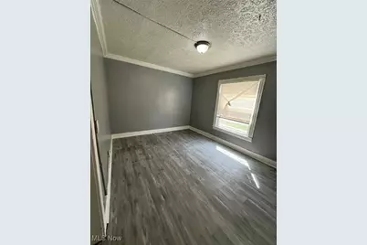 821 E 156th Street, Loveland, OH 44110 - Photo 6