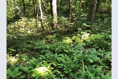 1455 St Rte 124, Coolville, OH 45723 - Photo 22