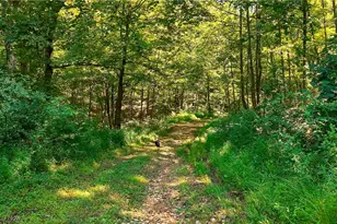 1455 St Rte 124, Coolville, OH 45723 - Photo 1