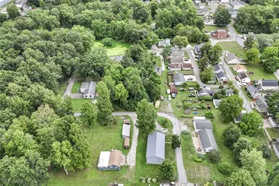 7390 Chestnut Street, Chippewa Lake, OH 44215 - Photo 44