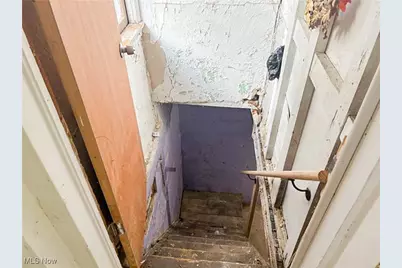 3131 Seymour Avenue, Loveland, OH 44113 - Photo 36