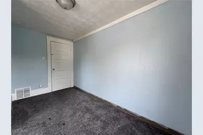 157 Henry Street, Akron, OH 44305 - Photo 24