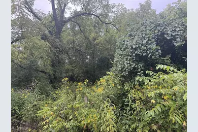 V/L Miltonsburg-Calais Road, Woodsfield, OH 43793 - Photo 6