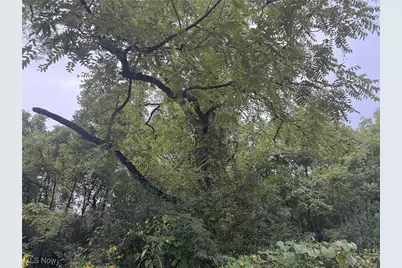 V/L Miltonsburg-Calais Road, Woodsfield, OH 43793 - Photo 1