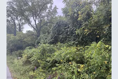 V/L Miltonsburg-Calais Road, Woodsfield, OH 43793 - Photo 4