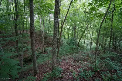 34799 Paw Rd, Lower Salem, OH 45745 - Photo 48