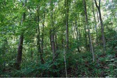 34799 Paw Rd, Lower Salem, OH 45745 - Photo 42