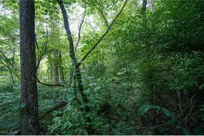 34799 Paw Rd, Lower Salem, OH 45745 - Photo 40