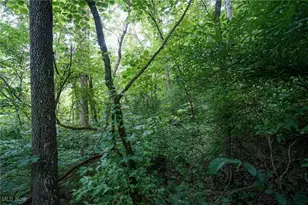 34799 Paw Rd, Lower Salem, OH 45745 - Photo 40