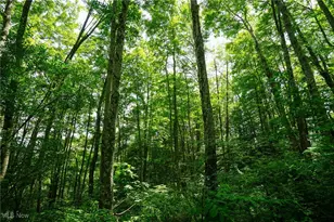 34799 Paw Rd, Lower Salem, OH 45745 - Photo 38