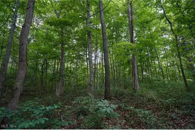 34799 Paw Rd, Lower Salem, OH 45745 - Photo 36